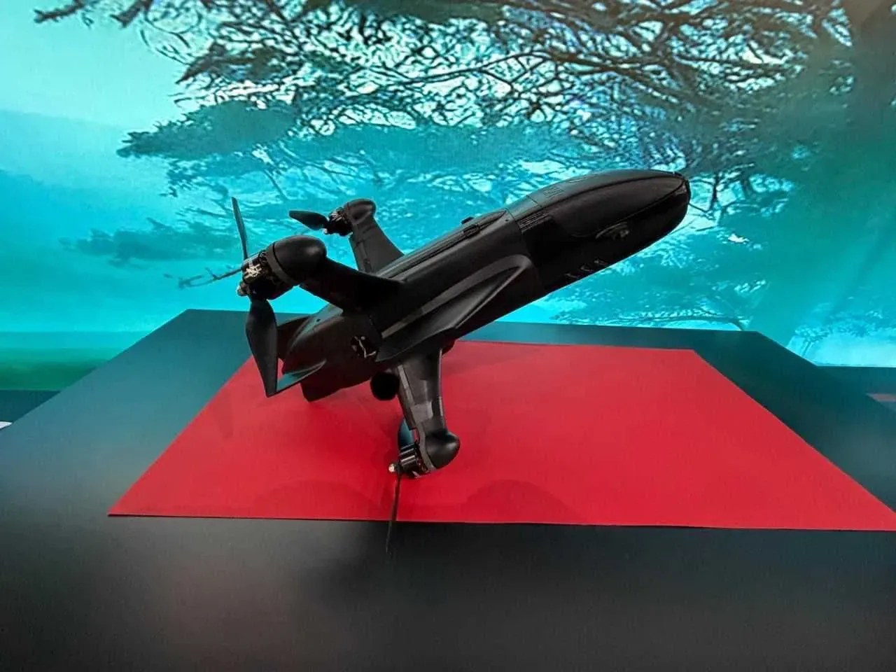 A LITAVR interceptor drone, described by the Wikimedia Commons uploader as a Ukrainian design.